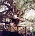 Tuli Safari Lodge, Botswana