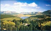 Glenshiel Country Lodge, Haenertsburg