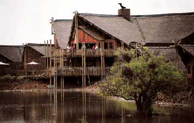 Tau Game Reserve, Sun City, South Africa