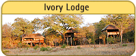 Ivory Lodge, Hwange National Park, Zimbabwe