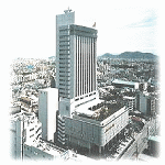Nikko Hotel, Kochi, Japan