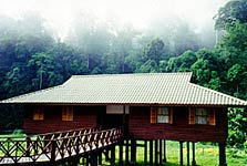 Borneo Rainforest Lodge, Sabah, Malaysia