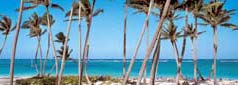 Hotel Fiesta Beach Resort, Punta Cana, Dominican Republic