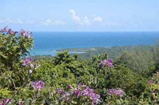 High Hope Estate, St Anns Bay, Jamaica