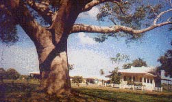 Posada el Palomar Inn, Camuy, Puerto Rico