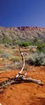 Alice Springs Resort, Northern Territory, Australia