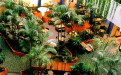 Novotel Atrium Hotel, Darwin, Australia
