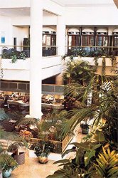Anas Hotel, Surfers Paradise QLD