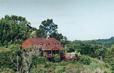 Toad Hall, Eumundi, Noosa Hinterland, Sunshine Coast