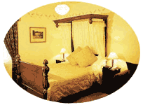 lodge on elizabeth, hobart, tasmania