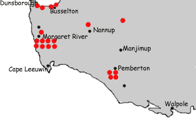 Margaret River hotels WA