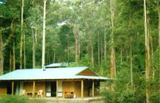 Warren River Resort, Pemberton, Western Australia