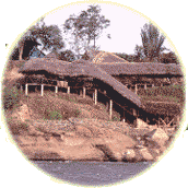 Casa Suizo Lodge, Napo River Ecuador