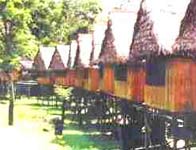 Amazon Lodge and Safaris near Iquitos, Peru