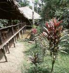 Explorama Lodges, Iquitos, Peru