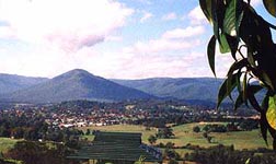 Mt Rael, Healesville, Victoria